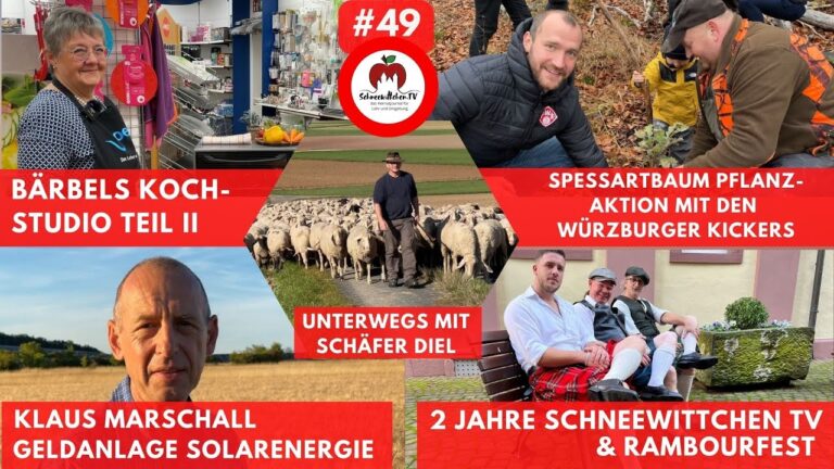 Optimierung der Versicherungspr&auml;mien f&uuml;r Solarenergieinvestitionen