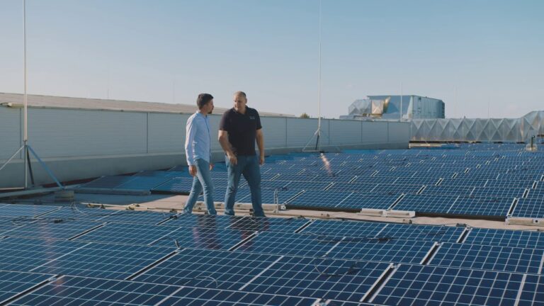 Erfolgreiche Photovoltaik-Projekte: Die Wahl des richtigen Anbieters