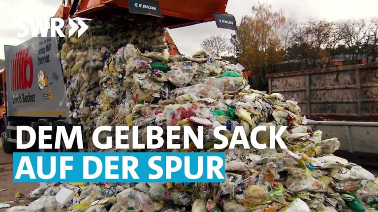 Recycling in der Verpackungsindustrie: Strategien zur F&ouml;rderung