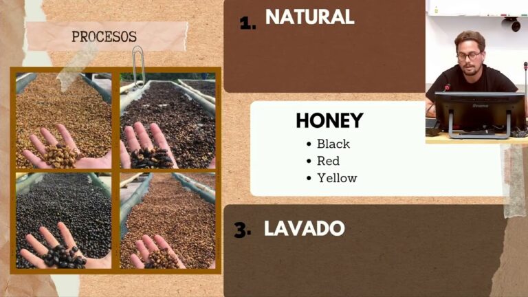 Nachhaltige Energiequellen f&uuml;r &Ouml;kologische Betriebe