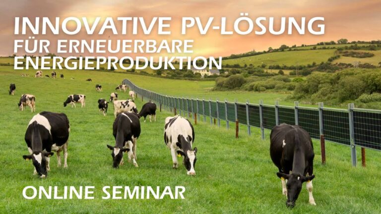 Nachhaltige Energieoptionen im Vergleich: Eine Analyse