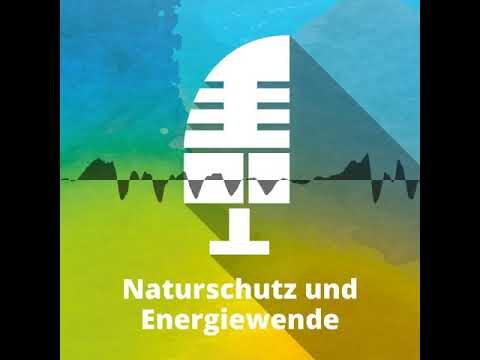 Die Bedeutung von Solarparks f&uuml;r die Energiewende