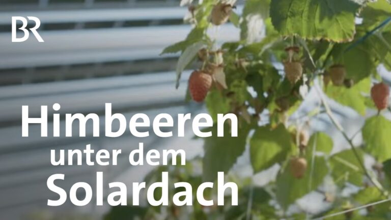 Nachhaltige Wasserversorgung in der Landwirtschaft durch Solarenergie