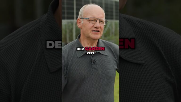 Solarenergie: Die nachhaltige Alternative f&uuml;r die Zukunft