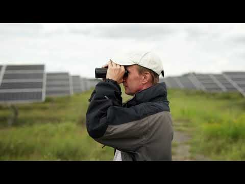 Regulatorische Anforderungen an Solarenergie: Ein &Uuml;berblick