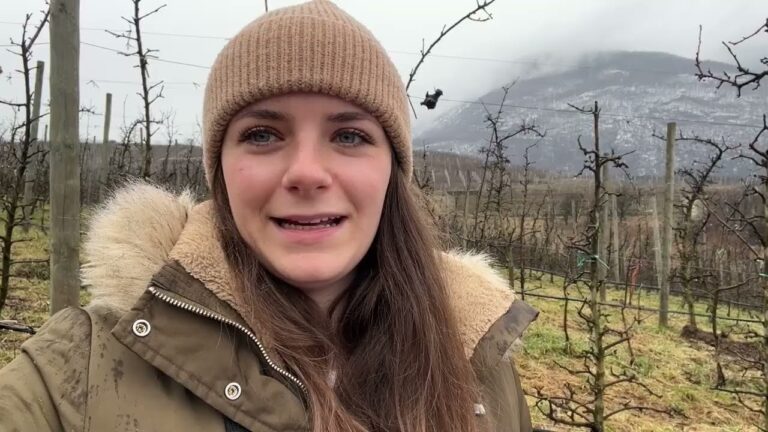 Nachhaltige Energiequellen in der Landwirtschaft: Ein Weg zur Effizienz