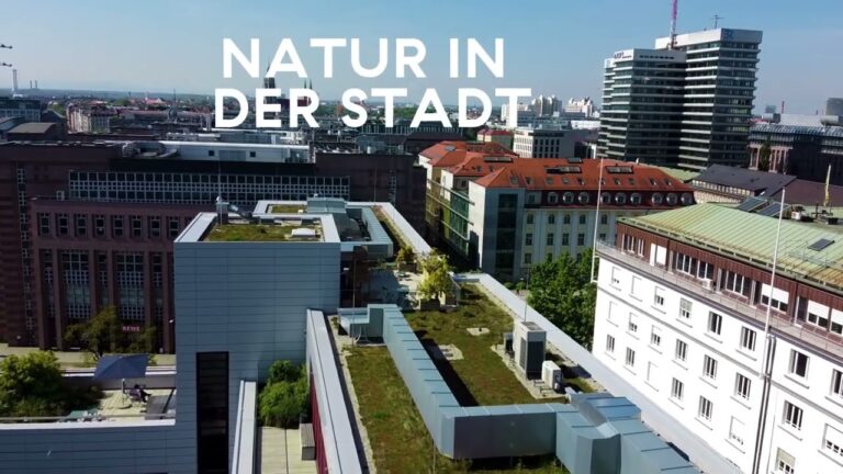 Energieeffiziente Geb&auml;udeh&uuml;llen f&uuml;r urbane R&auml;ume