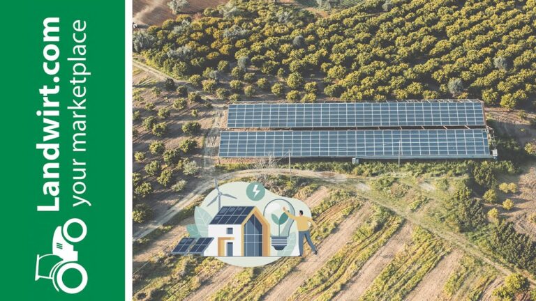 Solarenergie: Die nachhaltige L&ouml;sung f&uuml;r Netzunabh&auml;ngigkeit