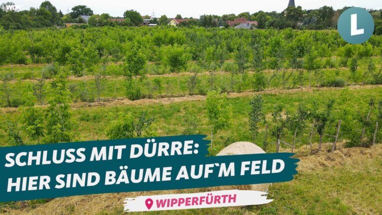 Umweltfreundliche Lösungen für nachhaltige Landwirtschaft